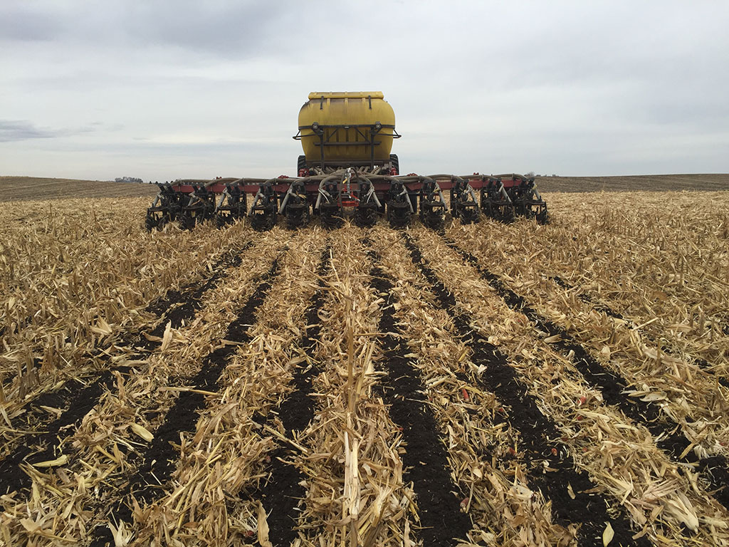 Strip Till 1